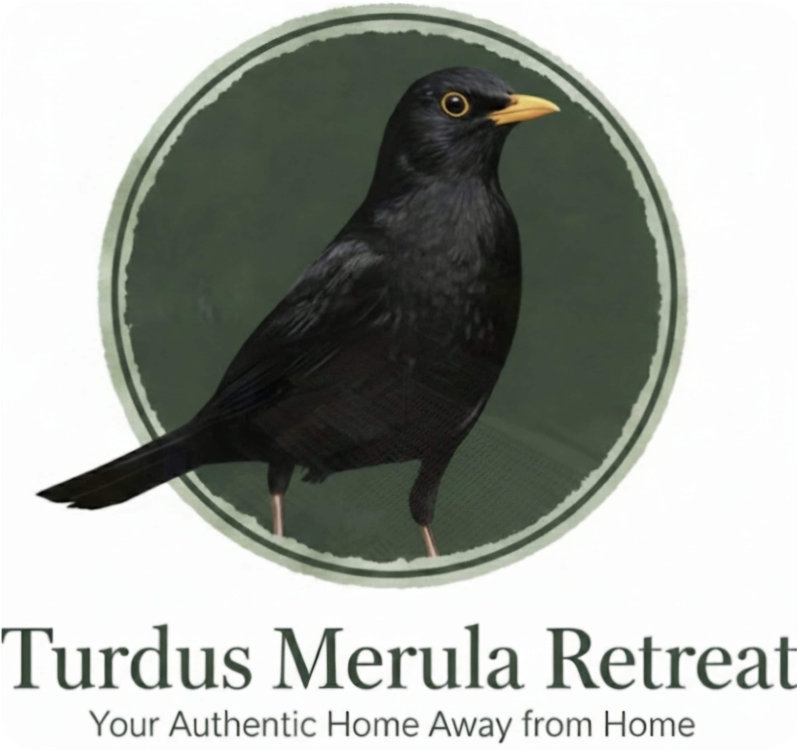 Turdus Merula Retreat